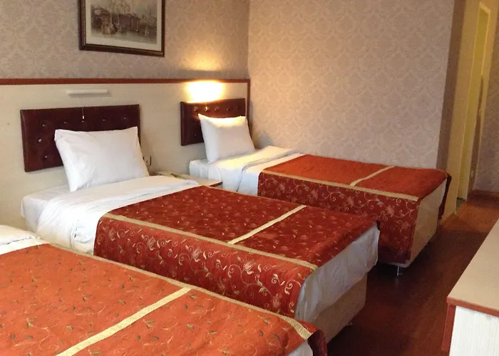 Отель Tayhan 3*