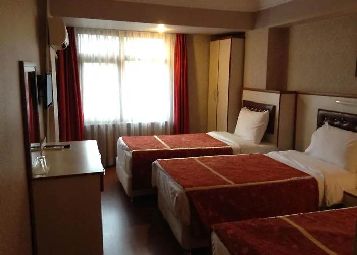 Отель Tayhan 3*